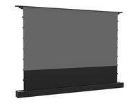 Multibrackets M - Projeksjonsskjerm med gulvstativ - LS, elektrisk, stigende, RS232 - fritt stående - motorisert - 84" (213 cm) - 16:9 - ALR UST - svart 7350105218606
