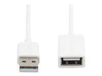 StarTech.com 3m White USB 2.0 Extension Cable Cord - A to A - USB Male to Female Cable - 1x USB A (M), 1x USB A (F) - White, 3 meter (USBEXTPAA3MW) - USB-forlengelseskabel - USB (hunn) til USB (hann) - USB 2.0 - 3 m - formstøpt - hvit - for P/N: MSDREADU2OTG, USBEXTPAA1MW, USBEXTPAA2MW, USBPAUB1MW, USBPAUB2MW, USBPAUB50CMW USBEXTPAA3MW