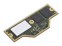 Lenovo - LPDDR5X - modul - 32 GB - CAMM - 7500 MHz - grønn - for ThinkPad P1 Gen 7 21KW 4X71Q25456