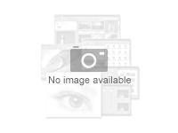 Absolute Control - Term License (4 år) - mengde - 250 - 499 lisenser 4L41M24437