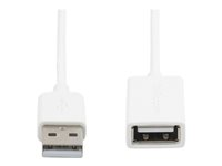 StarTech.com 1m White USB 2.0 Extension Cable Cord - A to A - USB Male to Female Cable - 1x USB A (M), 1x USB A (F) - White, 1 meter (USBEXTPAA1MW) - USB-forlengelseskabel - USB (hunn) til USB (hann) - USB 2.0 - 1 m - formstøpt - hvit - for P/N: MSDREADU2OTG, USBEXTPAA2MW, USBEXTPAA3MW, USBPAUB1MW, USBPAUB2MW, USBPAUB50CMW USBEXTPAA1MW
